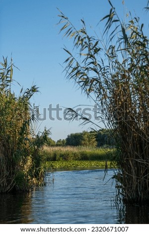 Danube Delta landscape photo during a sunny day with blue sky. Travel to Romania.