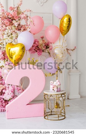Birthday decor two years party