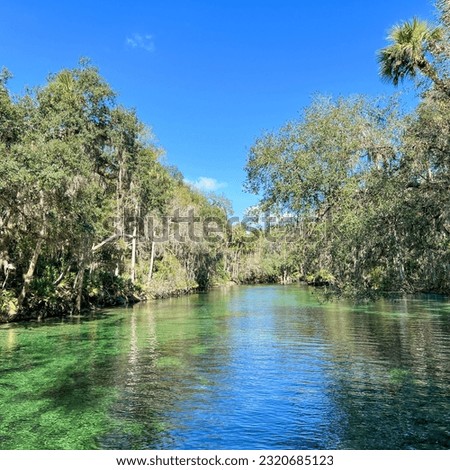 The springs at Blue Springs State Park  in Orange City, Florida.