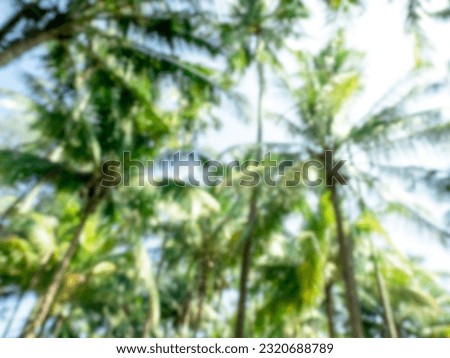 Blurred green leaves of tall tropical palm tree jungle and sky background with sunlight. Abstract blurry green bokeh of high coconut tree backgrounds on sunshine day, view from below.