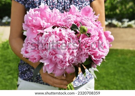 A woman holding in hands the big bouquet of fresh pink peonies in full bloom outdoor