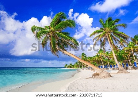 Riviera Maya, Mexico - Playa Paraiso (Paradise Beach) at sunny summer beautiful tropical caribbean coast of Tulum in Quintana Roo, Cancun. Royalty-Free Stock Photo #2320711715