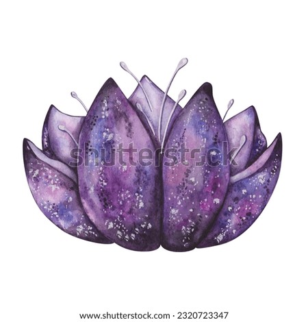 Watercolor illustration. Hand painted lotus flower in purple, blue, black, violet colors. Water lily, nenuphar. Space colors of starry night. Lotos flower in bloom. Isolated floral clip art for banner