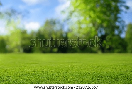 Beautiful blurred background image of spring nature with a neatly trimmed lawn surrounded by trees against a blue sky with clouds on a bright sunny day. Royalty-Free Stock Photo #2320726667