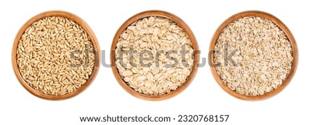 Oat grains, rolled oats and oatmeal, in wooden bowls. Husked common oat, Avena sativa, a cereal grain. Dehusked steamed oat groats, rolled into flat flakes, toasted, used whole or as steel-cut flakes. Royalty-Free Stock Photo #2320768157