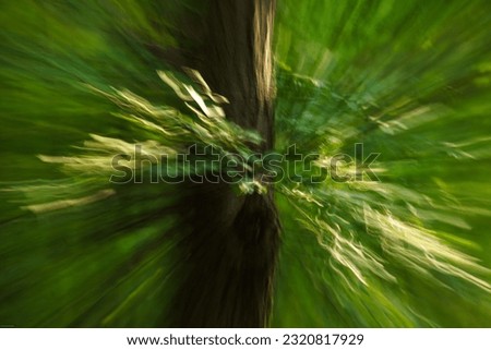 An abstract look at the forest through ICM photography.  Green, trees, forest, 