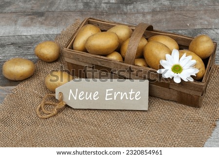 Fresh new harvest potatoes in a basket on a wooden background.German inscription means new harvest.