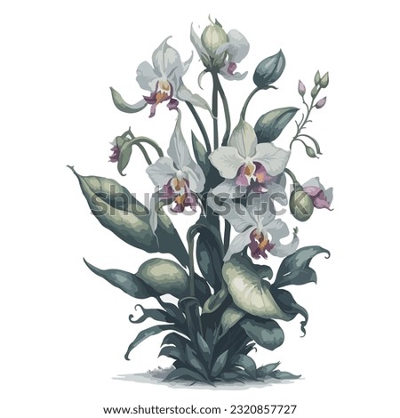 Watercolor Masdevallia vector: This artistic vector illustration portrays the delicate beauty of Masdevallia orchids in a watercolor style.
