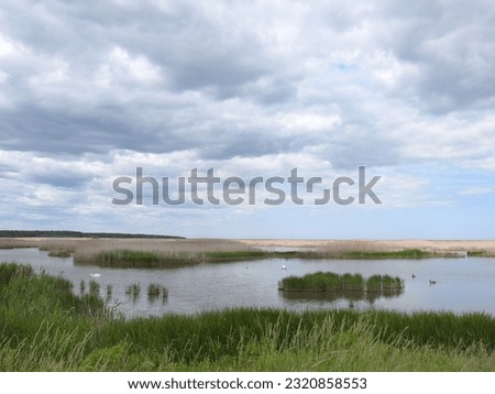 The natural beauty of the Edwin B. Forsythe National Wildlife Refuge, Galloway, New Jersey.