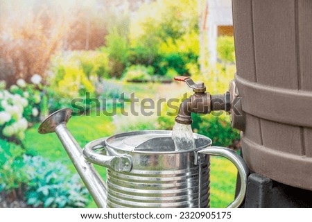 Filling watering can with water from rain barrel. Water conservation, gardening and rainwater collection.  Royalty-Free Stock Photo #2320905175