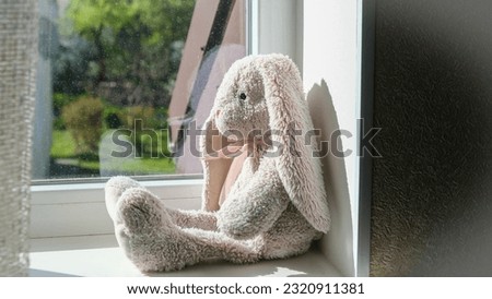 Baby cute toy bunny sitting on windowsill, baby photo