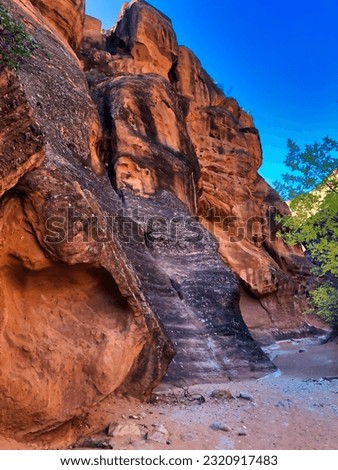 Red Reef Trail View in Red Cliffs National Conservation Area near St. George Utah. Royalty-Free Stock Photo #2320917483