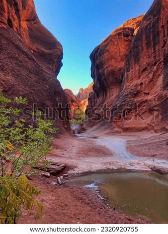 Red Rock and Pool View Along Red Reef Trail in Red Cliffs National Conservation Area near St. George Utah. Royalty-Free Stock Photo #2320920755