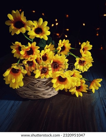 small sunflowers with a dark background can be used for typography or still life photography