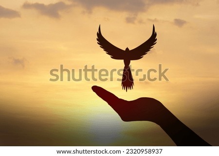 concept of freedom. Silhouette dove flying over the human hand.