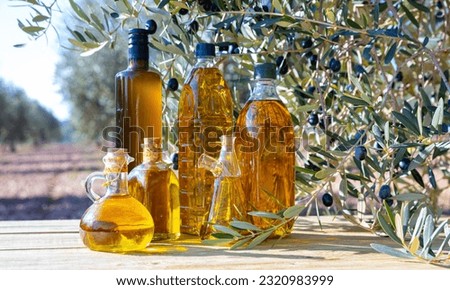 Bottles with olive oil and olive branch on a wooden table on a background of nature