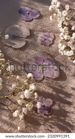 Floral background with roses, gypsophila, yellow daisies and other flowers. Floral background flooded with sunlight. Floral background for congratulations on the holiday. Wedding congratulations.