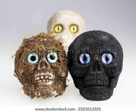 Strange covered skulls with sinister looking eyes Halloween horror effects and designs, homemade by photographer Thailand Asia
