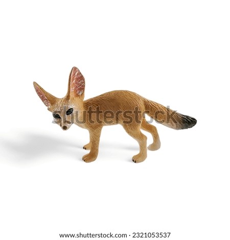 Miniature Fennec fox animal isolated on white