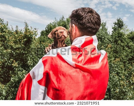 Attractive man holds a charming puppy on a background of blue sky on a clear, sunny day. Outdoor, close-up. National holiday concept