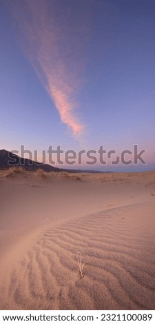 Cloud and grass, Kelso Dunes, Mojave National Preserve