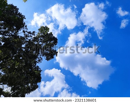 Green leaves againts the beautiful blue sky with white cloud