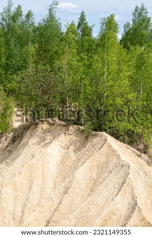 The soil is sandy clay on a forest rock.