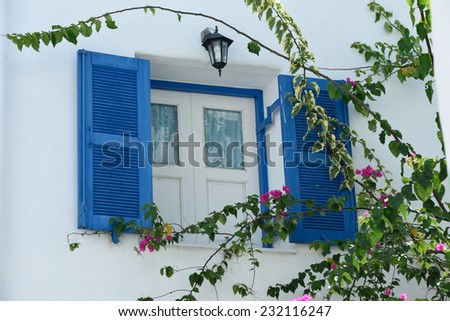Greek Style windows and flower on white wall