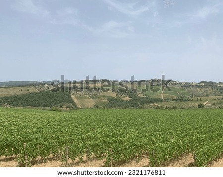 Tuscan Chianti region wine yards. Landscape of Italian nature. Green hills. Siena province, Tuscany, Italy Royalty-Free Stock Photo #2321176811
