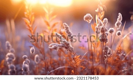 meadow flowers in early sunny fresh morning. Vintage autumn landscape background. colorful beautiful fall flowers magical Royalty-Free Stock Photo #2321178453