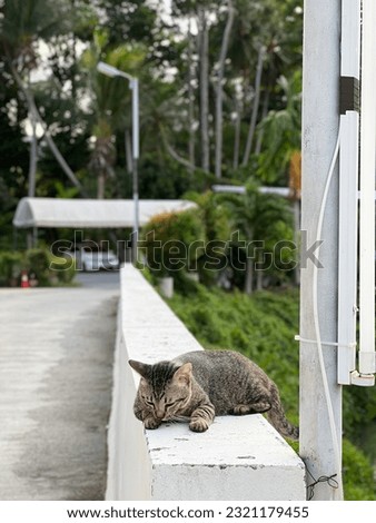 CAT Thailand ON THE FLOOR