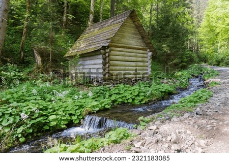 Mountain stream with cascade of small waterfalls and old log cabin in the forest at spring sunny morning 
