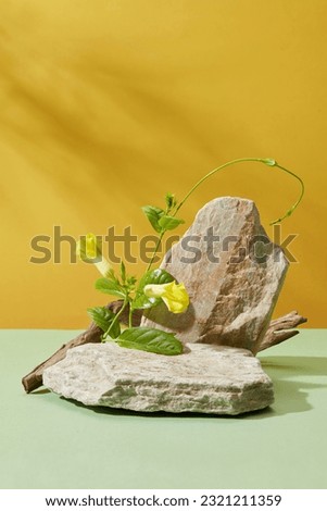 Stone podiums decorated with green leaves and yellow flowers. Blank space on the stone for product advertising