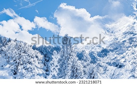 Winter wonderland and Christmas landscape. Snowy forest, trees covered with snow as holiday background.