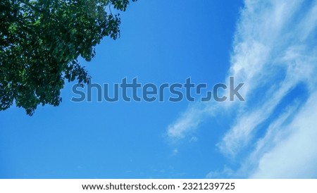 Summer blue sky cloud gradient light white background with leaves. Beauty clear cloudy in sunshine calm bright winter air background.