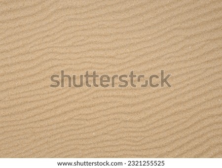Sand Texture. Yellow sand. Background from fine sand. Close-up image.