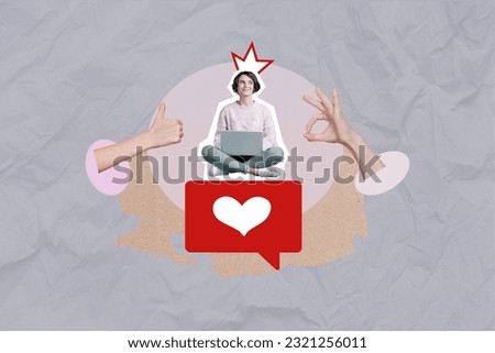 Artwork creative promotion collage of young girl use laptop thumb up okey sign advert best blogger popularity isolated on grey background