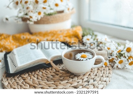 Open Bible and daisies on the windowsill, summer composition.