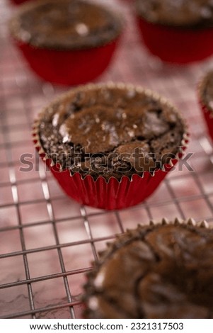 Cooling freshly baked chocolate peppermint cupcakes on a kitchen counter.