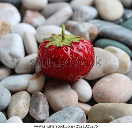 Detailed View Of Ripe Red Strawberry On A Round Smooth Sea Stones Square Stock Photo 