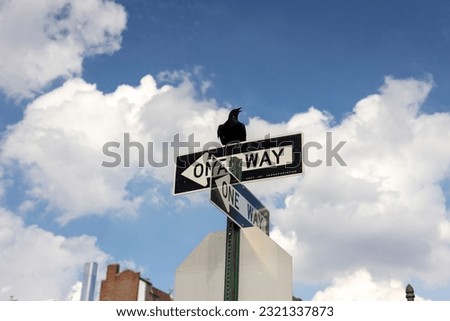 A close-up shot of a raven sitting on one-way signs with a cloudy blue sky