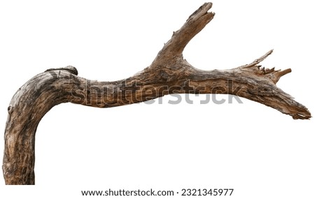 branch tree dry cracked dark bark isolated on white background. clipping path Royalty-Free Stock Photo #2321345977