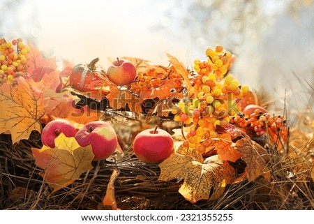 autumn decor made of colorful leaves and ripe apples in garden, abstract blurred natural background. Beautiful Festive decoration for Thanksgiving holiday, Mabon, Halloween party. Fall harvest season Royalty-Free Stock Photo #2321355255