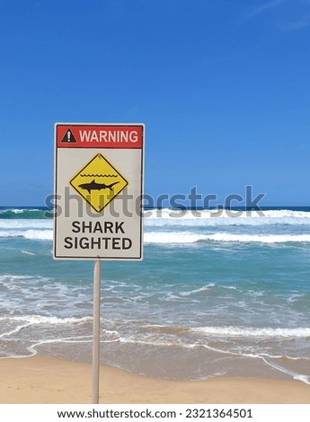 warning,shark sighted.Informative sign on beach in Sydney, Australia