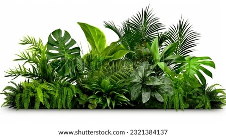 Green leaves of tropical plants bush floral arrangement indoors garden nature backdrop isolated on white background Royalty-Free Stock Photo #2321384137