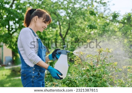 Woman spraying rose bushes in flower bed in backyard Royalty-Free Stock Photo #2321387811