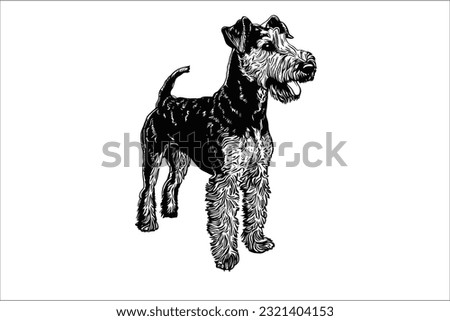 Discover the majestic beauty of the Airedale Terrier, a versatile and intelligent dog breed. With its strong physique and expressive eyes, this loyal companion captures hearts effortlessly.