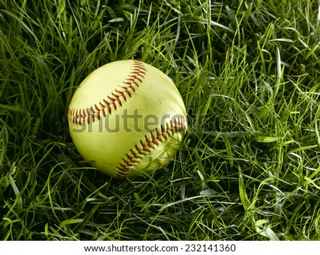Yellow Softball sitting in green grass