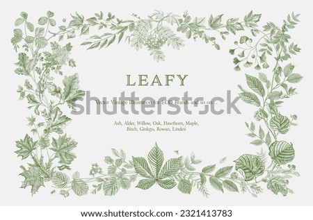 Leafy. Frame. Vector vintage illustration. Engraving Royalty-Free Stock Photo #2321413783