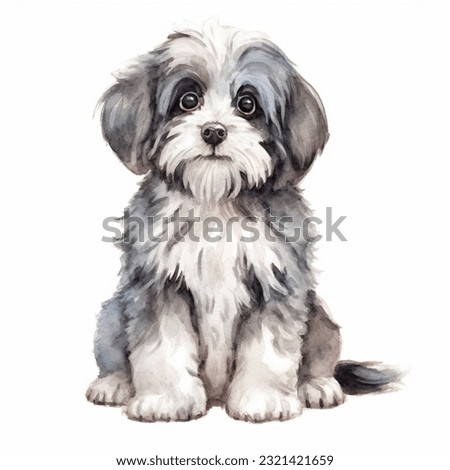 HAVANESE watercolor portrait painting illustrated dog puppy isolated on transparent white background